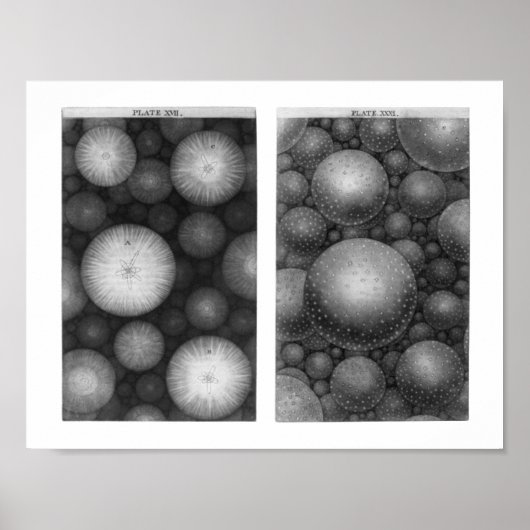 トーマス・ライトの宇宙 ポスター (正面)