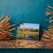 トーマス・A・モールトンバーン フォトプラーク (側面)