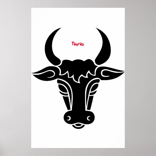 トーラスのポスター ポスター (正面)