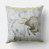 トーラスの星座は、「地図書Coeleからの2つをめっきします クッション (裏面)