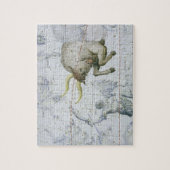 トーラスの星座は、「地図書Coeleからの2つをめっきします ジグソーパズル (縦)