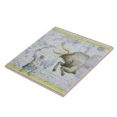 トーラスの星座は、「地図書Coeleからの2つをめっきします タイル (側面)