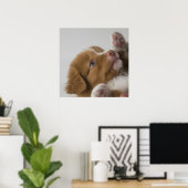 トーラーパピー ポスター (ホームオフィス)