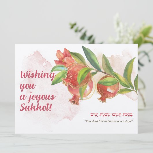 トーラー引用文&ウィッシュズフォースクコットウポングラナーズ (スタンド正面)