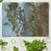 トーリーパインとカリフォルニアの海岸線の風景 キッチンタオル (折り畳み)