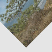 トーリーパインとカリフォルニアの海岸線の風景 薄葉紙 (詳細)