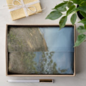 トーリーパインとカリフォルニアの海岸線の風景 薄葉紙 (ギフト)