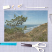 トーリーパインとカリフォルニアの海岸線の風景 薄葉紙 (クラフト)
