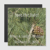 トーリーパインクローズアップカリフォルニアボタニカル (正面/裏面)