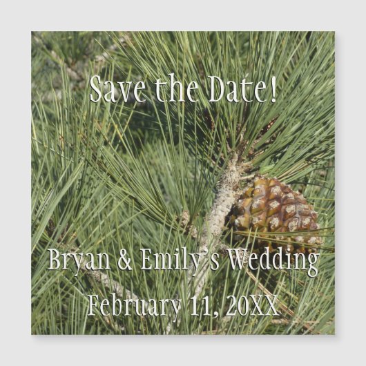 トーリーパインクローズアップカリフォルニアボタニカル (正面)