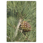 トーリーパインクローズアップカリフォルニアボタニカル クリップボード (裏面)