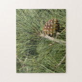 トーリーパインクローズアップカリフォルニアボタニカル ジグソーパズル (縦)
