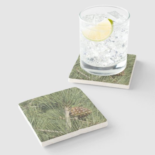 トーリーパインクローズアップカリフォルニアボタニカル ストーンコースター (横)