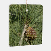 トーリーパインクローズアップカリフォルニアボタニカル セラミックオーナメント (右)
