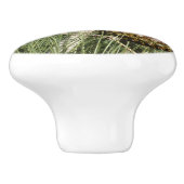 トーリーパインクローズアップカリフォルニアボタニカル セラミックノブ (側面)