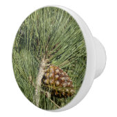 トーリーパインクローズアップカリフォルニアボタニカル セラミックノブ (右)