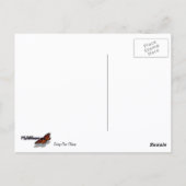 トーリーパインクローズアップカリフォルニアボタニカル ポストカード (裏面)