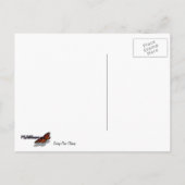 トーリーパインクローズアップカリフォルニアボタニカル ポストカード (裏面)