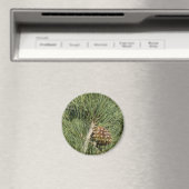 トーリーパインクローズアップカリフォルニアボタニカル マグネット (インサイチュ (食洗機))