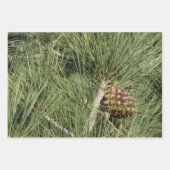 トーリーパインクローズアップカリフォルニアボタニカル ラッピングペーパーシート (正面)