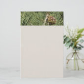 トーリーパインクローズアップカリフォルニアボタニカル 便箋 (スタンド正面)