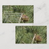 トーリーパインクローズアップカリフォルニアボタニカル 名刺 (正面/裏面)