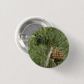 トーリーパインクローズアップカリフォルニアボタニカル 缶バッジ (正面&裏面)