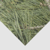 トーリーパインクローズアップカリフォルニアボタニカル 薄葉紙 (詳細)