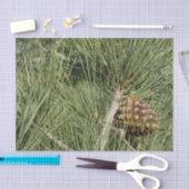 トーリーパインクローズアップカリフォルニアボタニカル 薄葉紙 (クラフト)