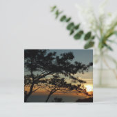 トーリーパインサンセットIカリフォルニアの風景 (スタンド正面)