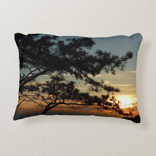 トーリーパインサンセットIカリフォルニアの風景 アクセントクッション (裏面)