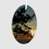 トーリーパインサンセットIカリフォルニアの風景 オーナメント (正面)