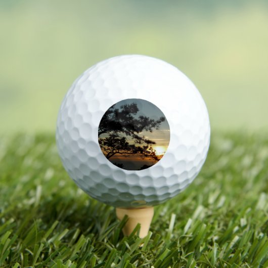 トーリーパインサンセットIカリフォルニアの風景 ゴルフボール (インサイチュ 木)