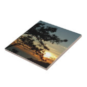 トーリーパインサンセットIカリフォルニアの風景 タイル (側面)