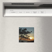 トーリーパインサンセットIカリフォルニアの風景 マグネット (インサイチュ (食洗機))