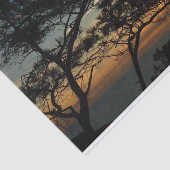 トーリーパインサンセットIカリフォルニアの風景 薄葉紙 (詳細)