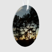 トーリーパインサンセットIIカリフォルニアの風景 オーナメント (正面)