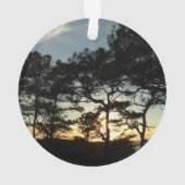 トーリーパインサンセットIIカリフォルニアの風景 オーナメント (裏面)
