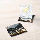 トーリーパインサンセットIIカリフォルニアの風景 スクエアペーパーコースター (インサイチュ)