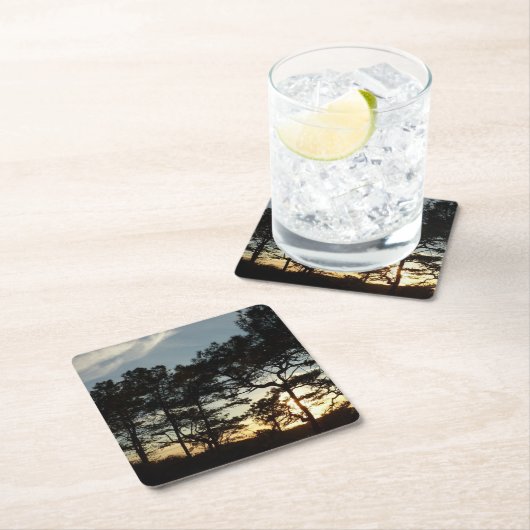 トーリーパインサンセットIIカリフォルニアの風景 スクエアペーパーコースター (インサイチュ)