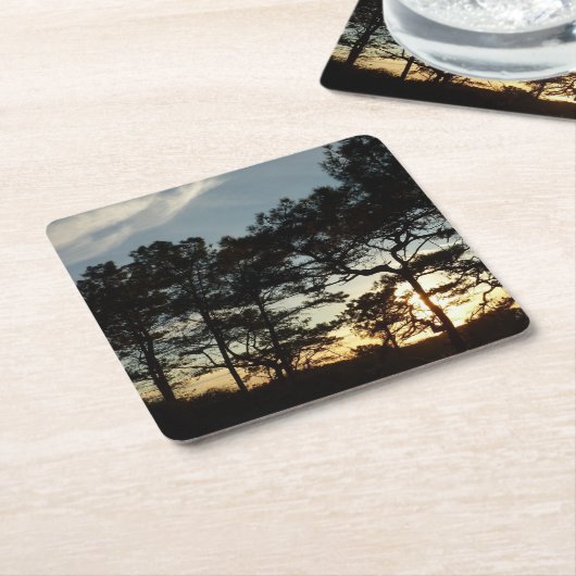 トーリーパインサンセットIIカリフォルニアの風景 スクエアペーパーコースター (アングル)