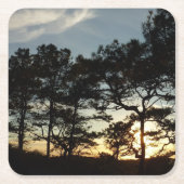 トーリーパインサンセットIIカリフォルニアの風景 スクエアペーパーコースター (正面)