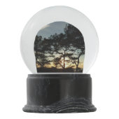 トーリーパインサンセットIIカリフォルニアの風景 スノーグローブ (裏面)