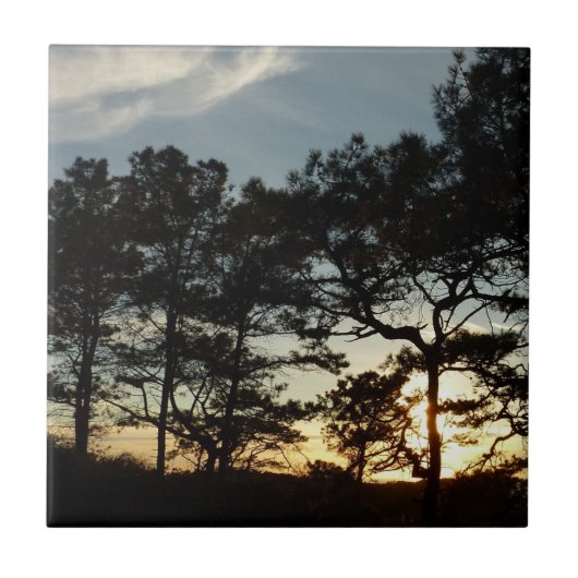 トーリーパインサンセットIIカリフォルニアの風景 タイル (正面)