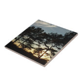 トーリーパインサンセットIIカリフォルニアの風景 タイル (側面)