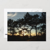 トーリーパインサンセットIIカリフォルニアの風景 ポストカード (正面/裏面)