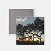 トーリーパインサンセットIIカリフォルニアの風景 マグネット (正面/裏面)