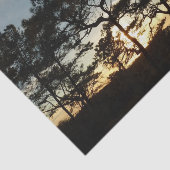 トーリーパインサンセットIIカリフォルニアの風景 薄葉紙 (詳細)