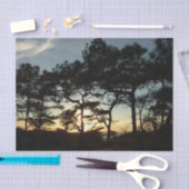 トーリーパインサンセットIIカリフォルニアの風景 薄葉紙 (クラフト)