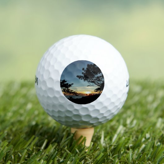 トーリーパインサンセットIIIカリフォルニアの風景 ゴルフボール (インサイチュ 木)